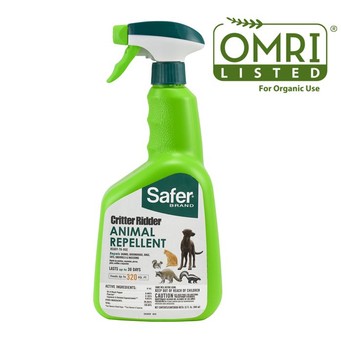 dog repellent spray for grass