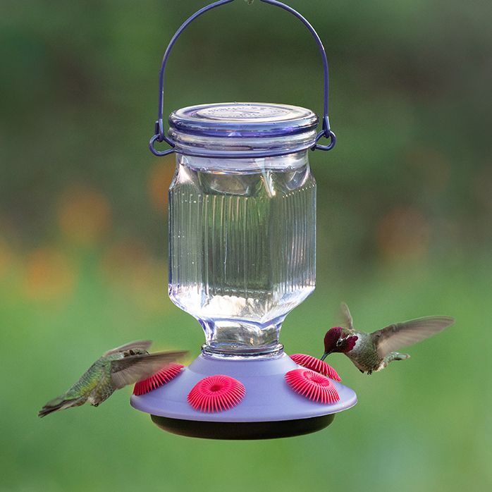 Perky Pet Lavender Field Top Fill Glass Hummingbird Feeder Model
