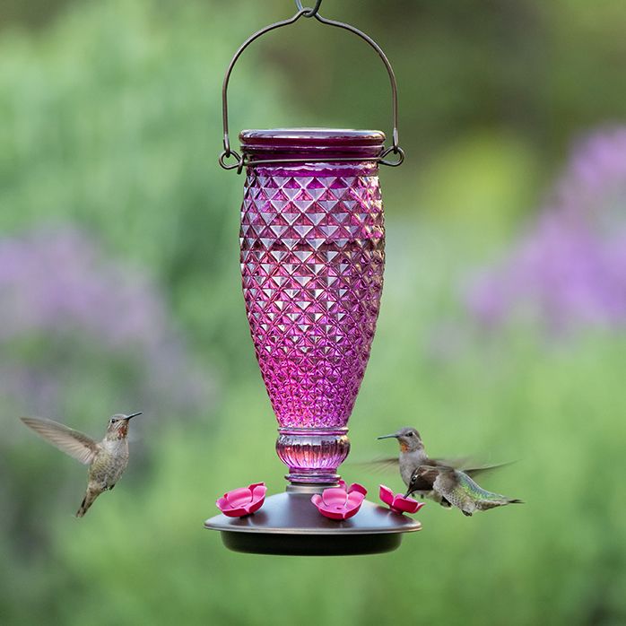 Perky Pet Diamond Wine Top Fill Glass Hummingbird Feeder Model