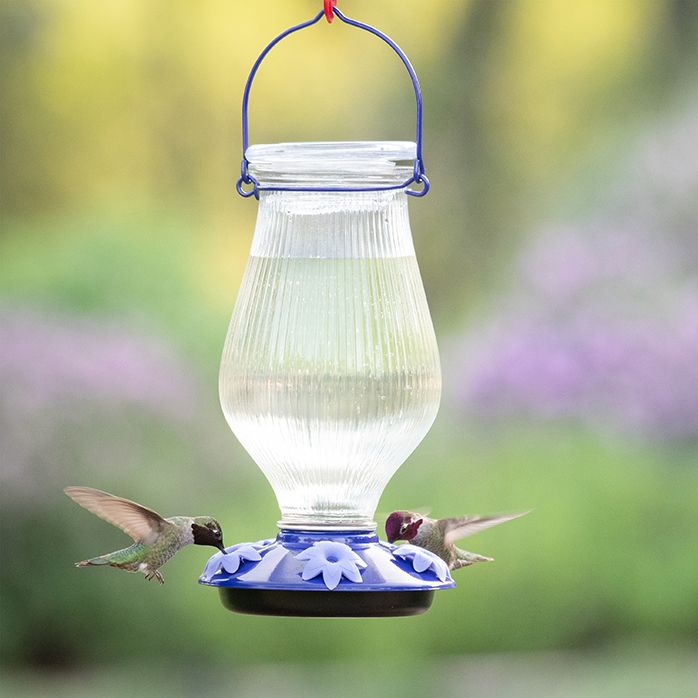 Perky Pet Grand Oasis Top Fill Glass Hummingbird Feeder Model