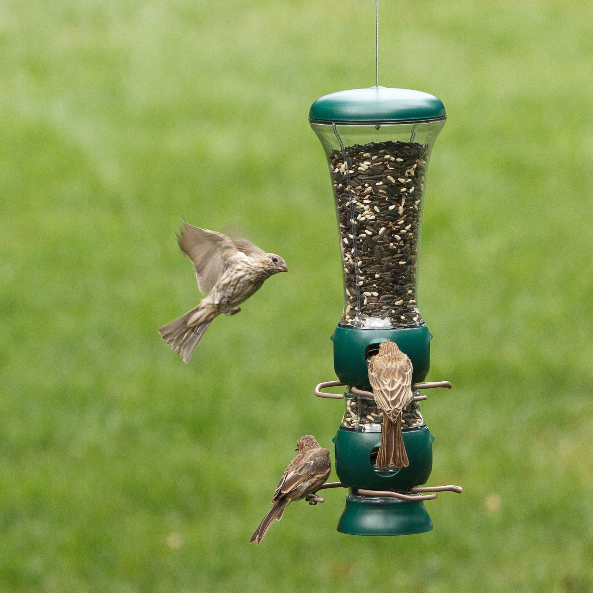 Perky Pet Select A Bird Tube Bird Feeder Model 102 4