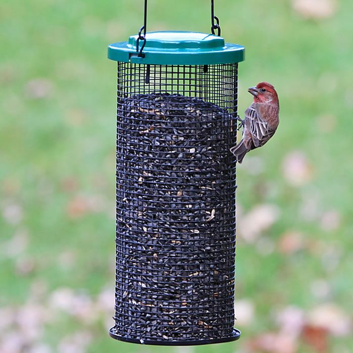 Perky Pet Sunflower Mesh Bird Feeder Model 116