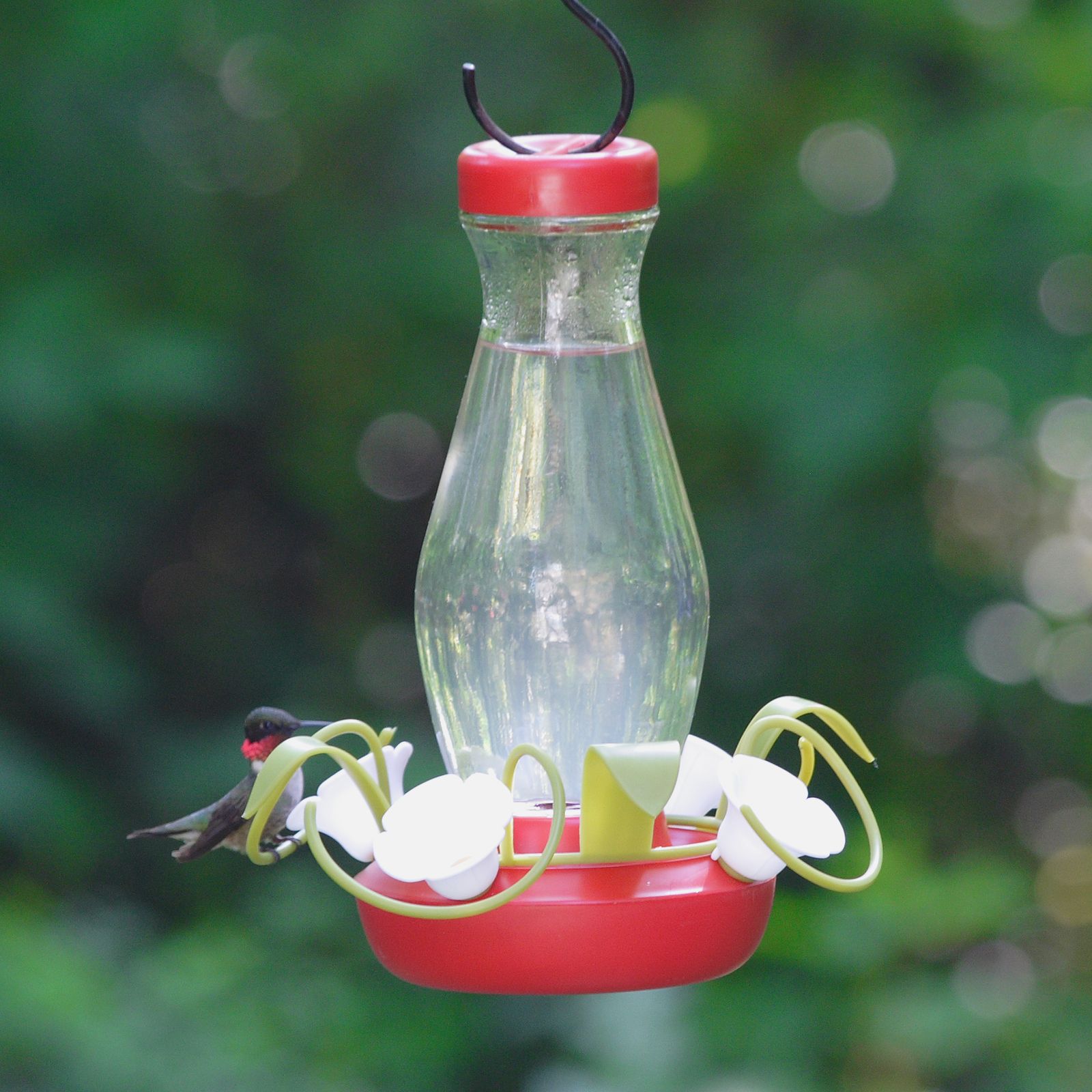 PerkyPet FunnelFill 16 oz. Glass Hummingbird Feeder