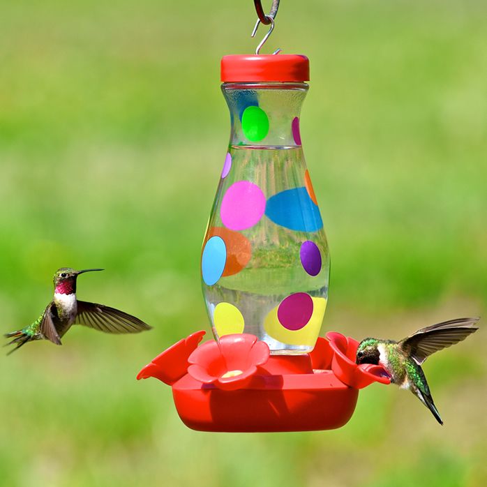 Perky Pet Colorful Dots Glass Hummingbird Feeder Model 167 3