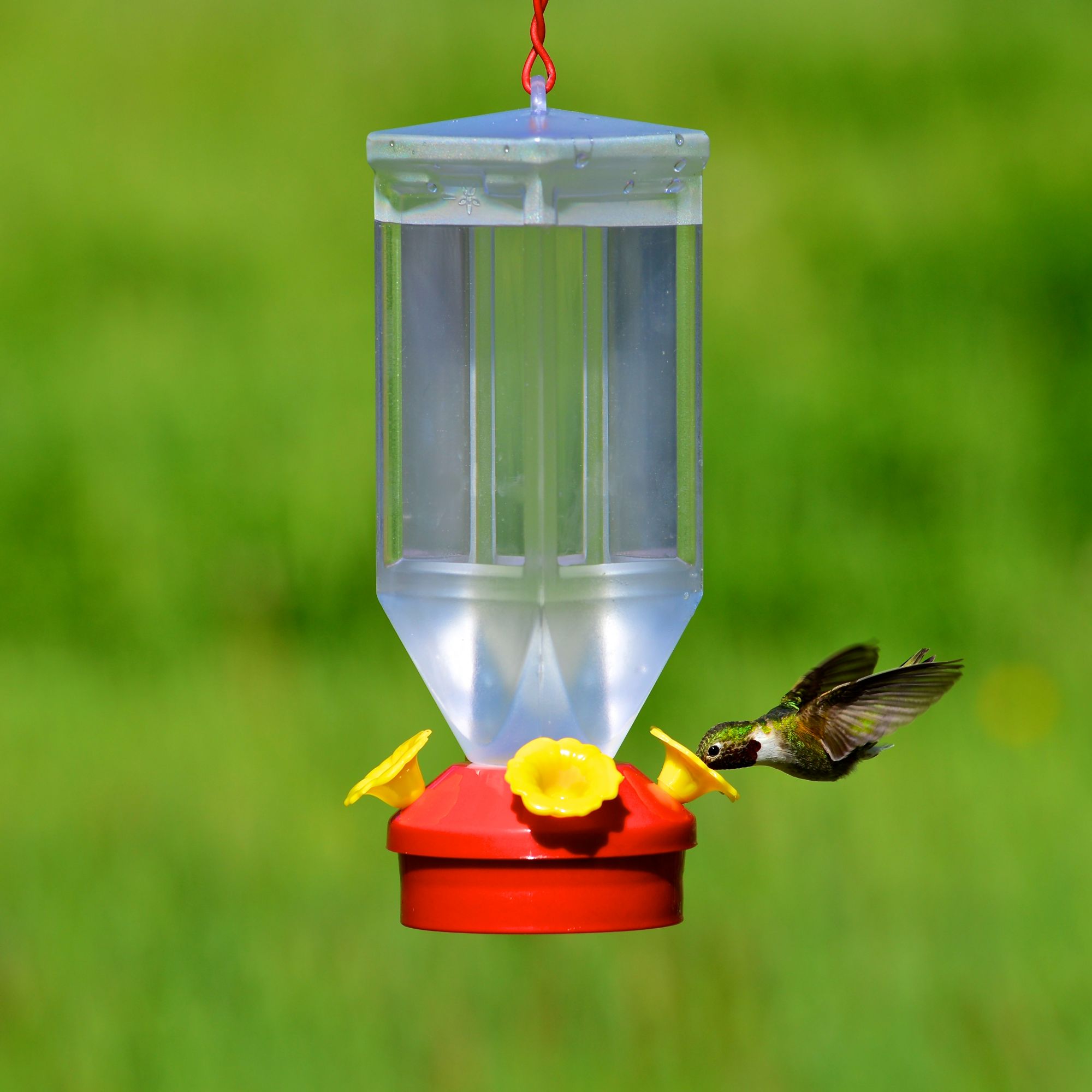 Perky Pet Lantern Hummingbird Feeder Model 201