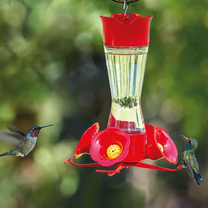 Perky Pet Pinch Waist Glass Hummingbird Feeder With Free Nectar