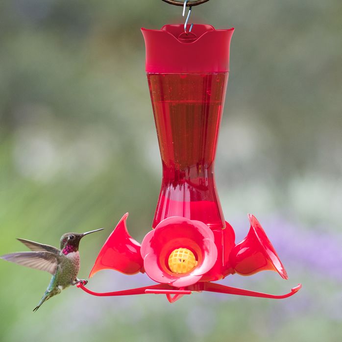 Perky Pet Pinch Waist Red Glass Hummingbird Feeder 203cpbr