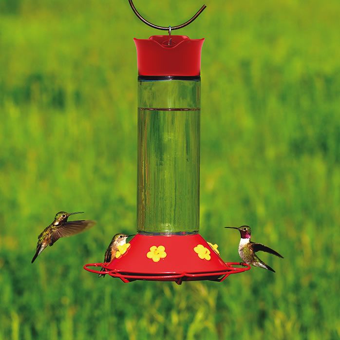 Perky Pet Our Best Glass Hummingbird Feeder Woodstreambrands Ca