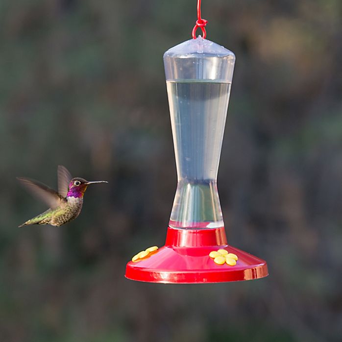 Perky Pet Clear Plastic Hummingbird Feeder Model 211
