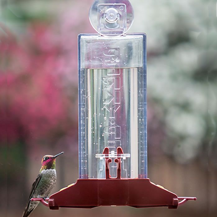 Perky Pet Window Mount Feeder
