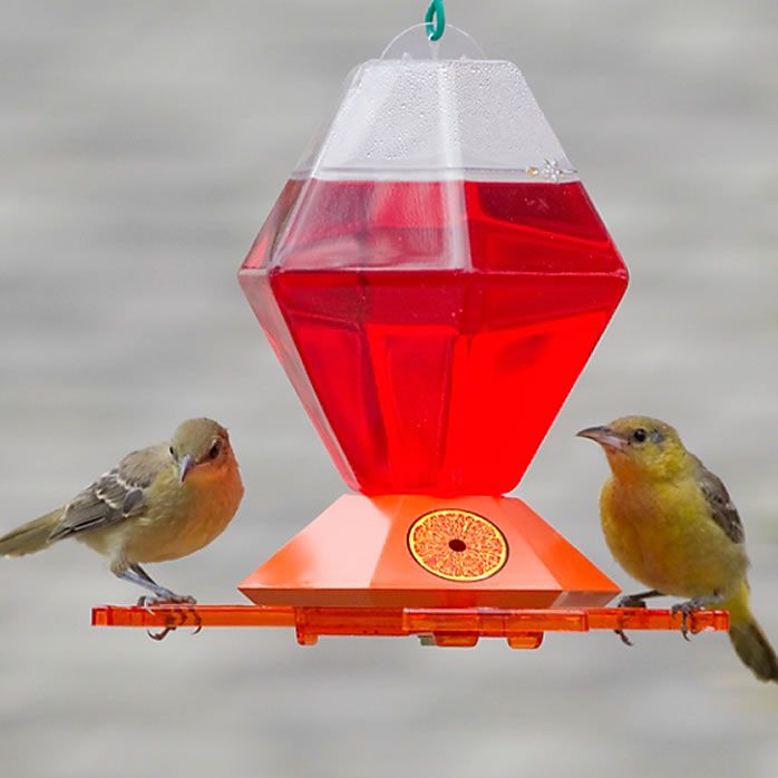 Perky Pet Oriole Feeder