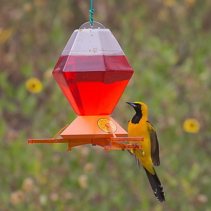 Perky Pet Deluxe Oriole Feeder