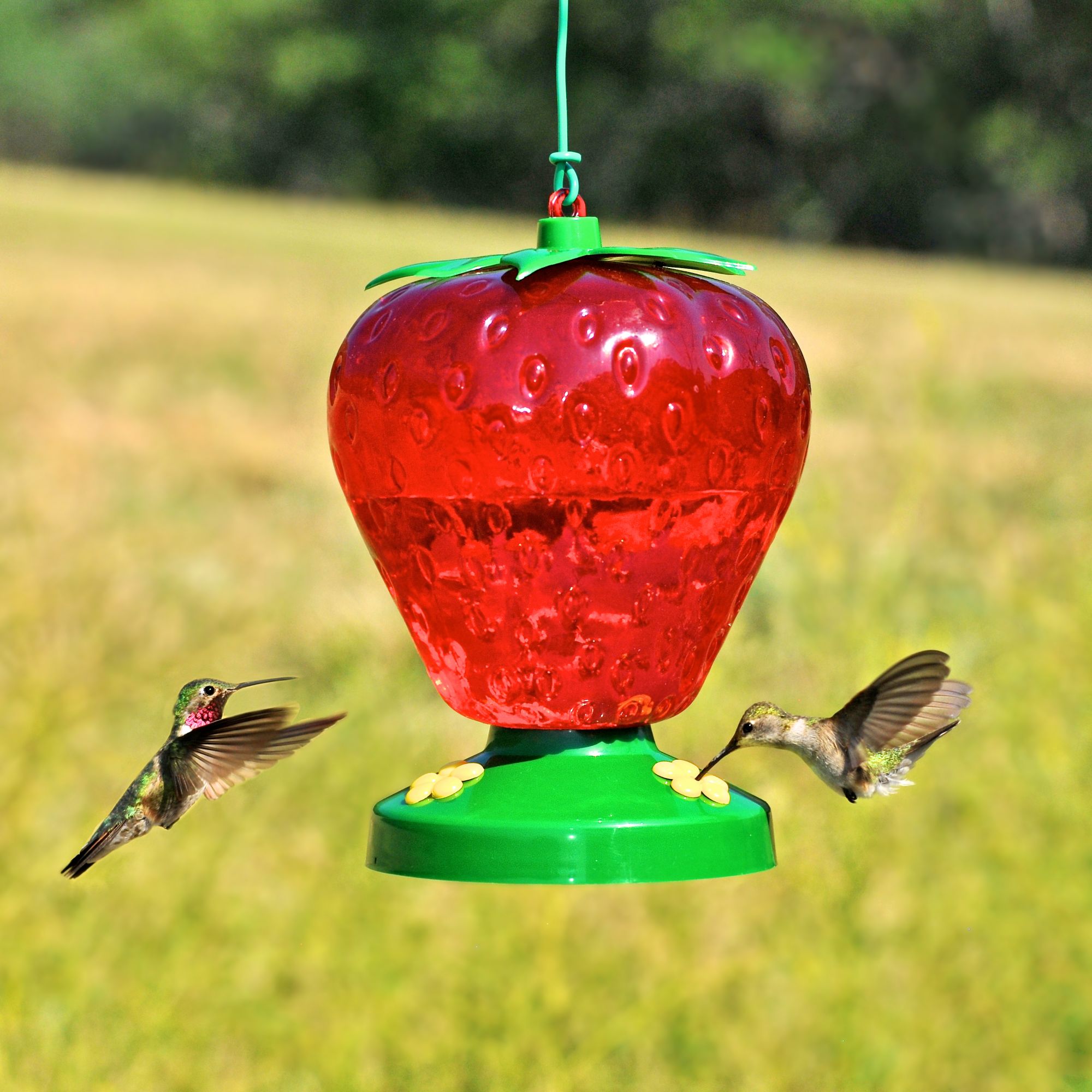 Perky Pet Strawberry Hummingbird Feeder