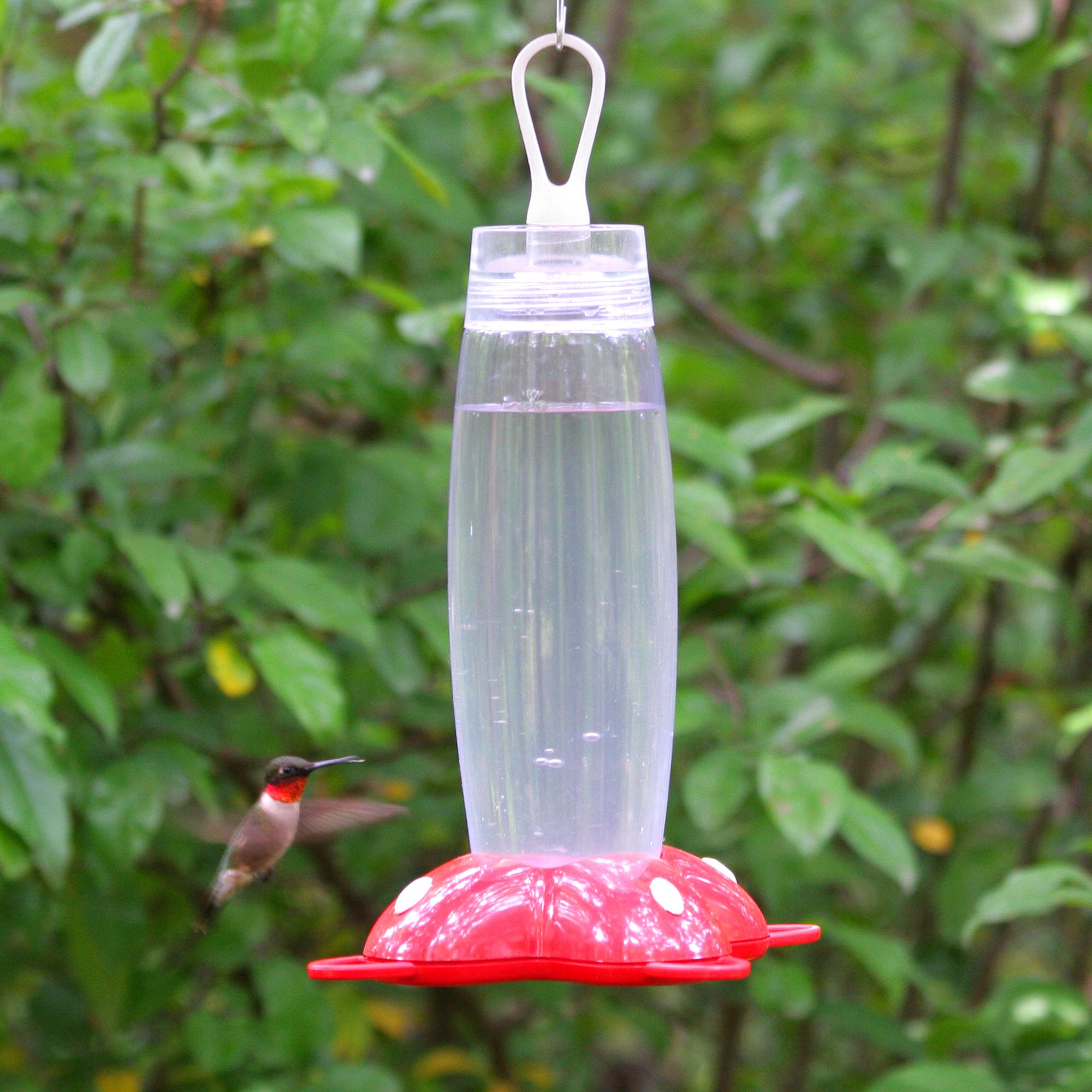 Perky Pet Rose Petal Hummingbird Feeder Model 271