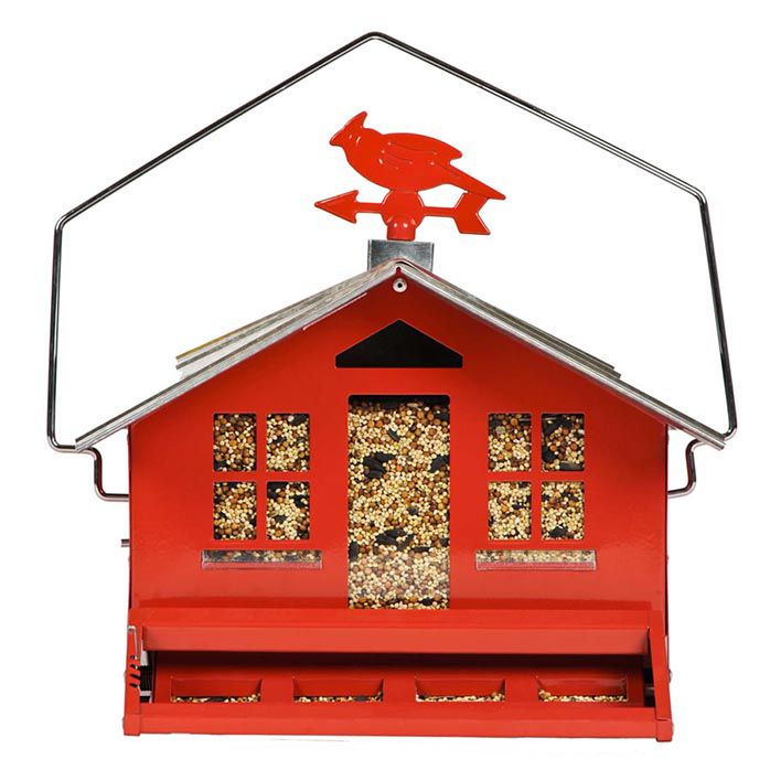 Perky Pet Squirrel Be Gone Ii Country Style Wild Bird Feeder