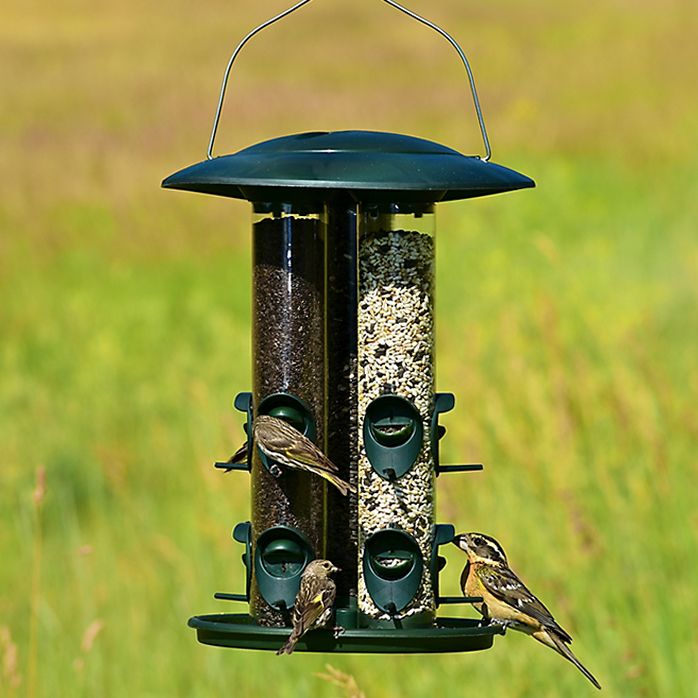PerkyPet® Safari Triple Tube Wild Bird Feeder Model 369