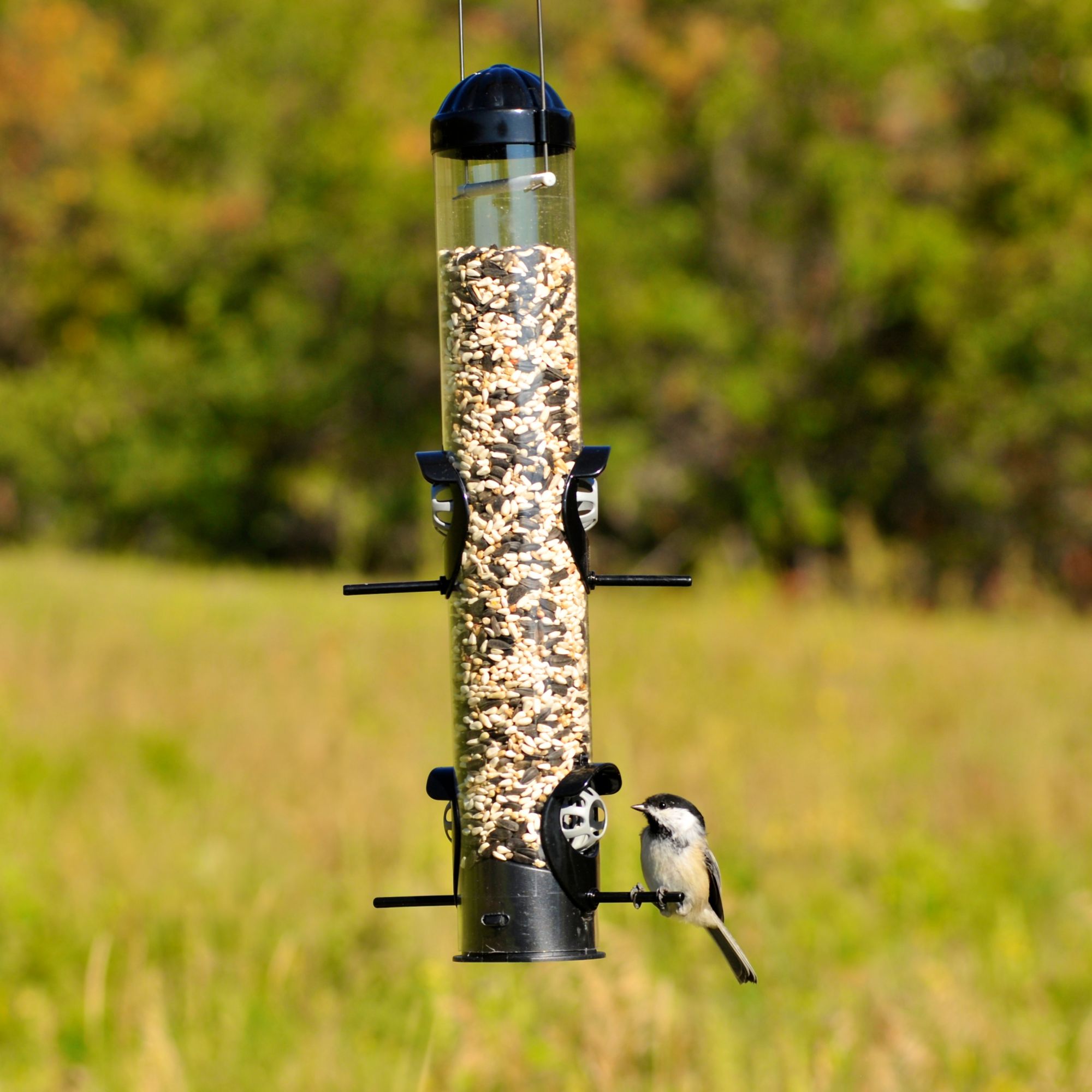 Perky Pet Squirrel Shield Tube Feeder