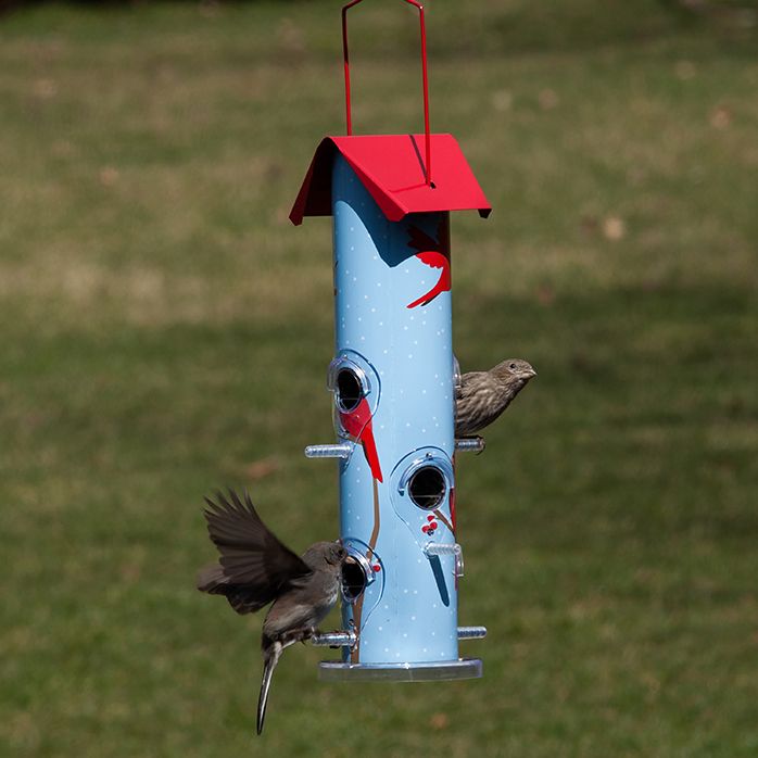 Perky Pet Cardinal Metal Tube Bird Feeder Model 391card