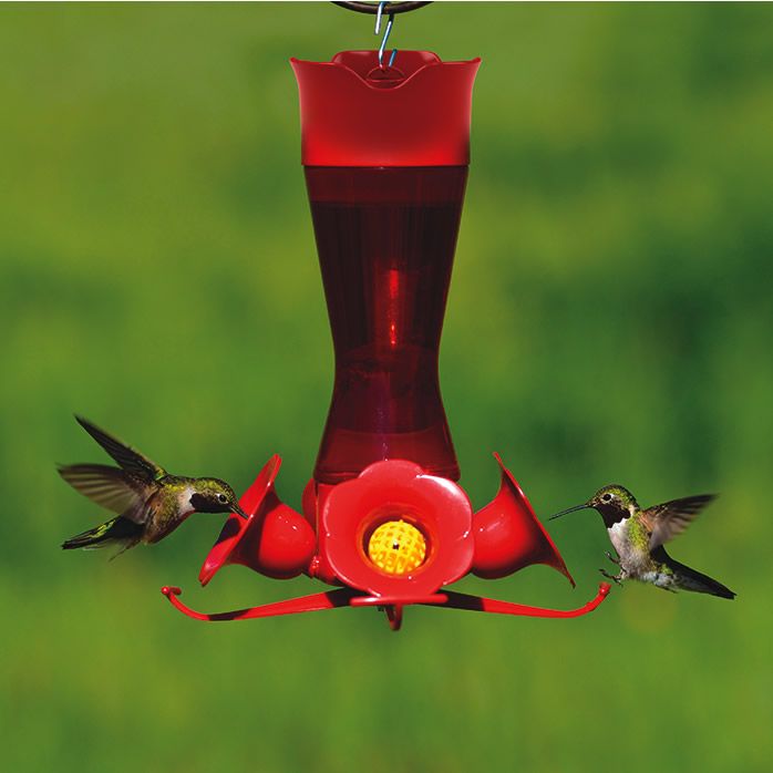Perky Pet Pinch Waist Plastic Hummingbird Feeder With Free Nectar