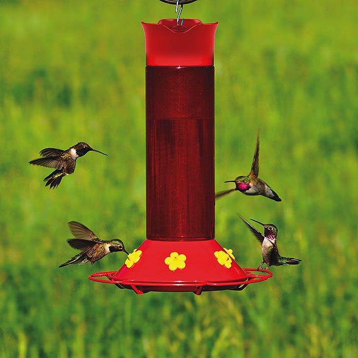 Perky Pet Hummer S Favorite Plastic Hummingbird Feeder With Free