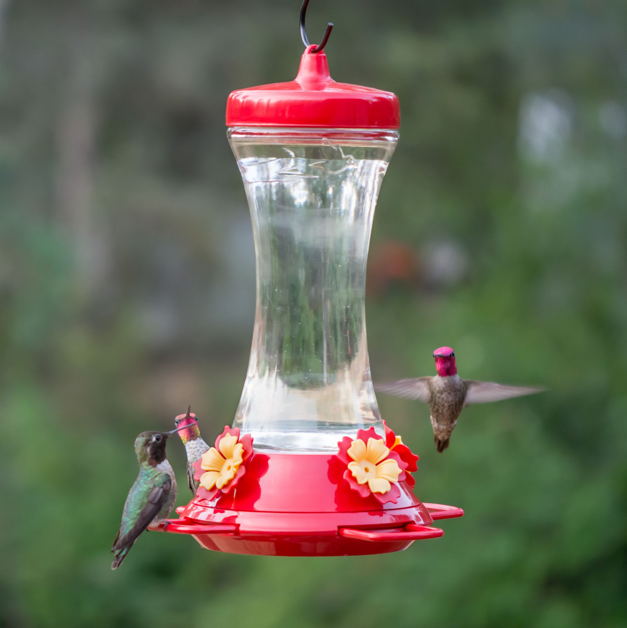 Perky Pet Adjustable Perch Hummingbird Feeder