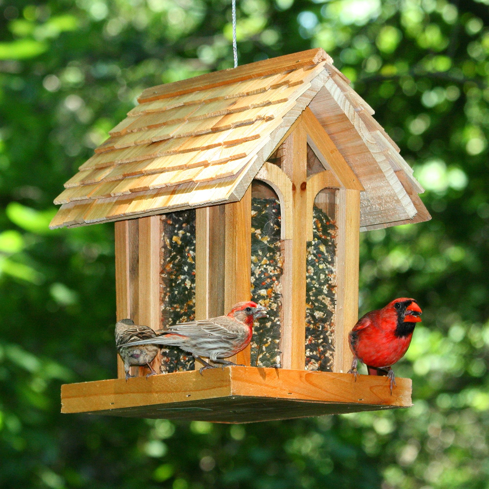 Birdscapes Mountain Chapel Wild Bird Feeder