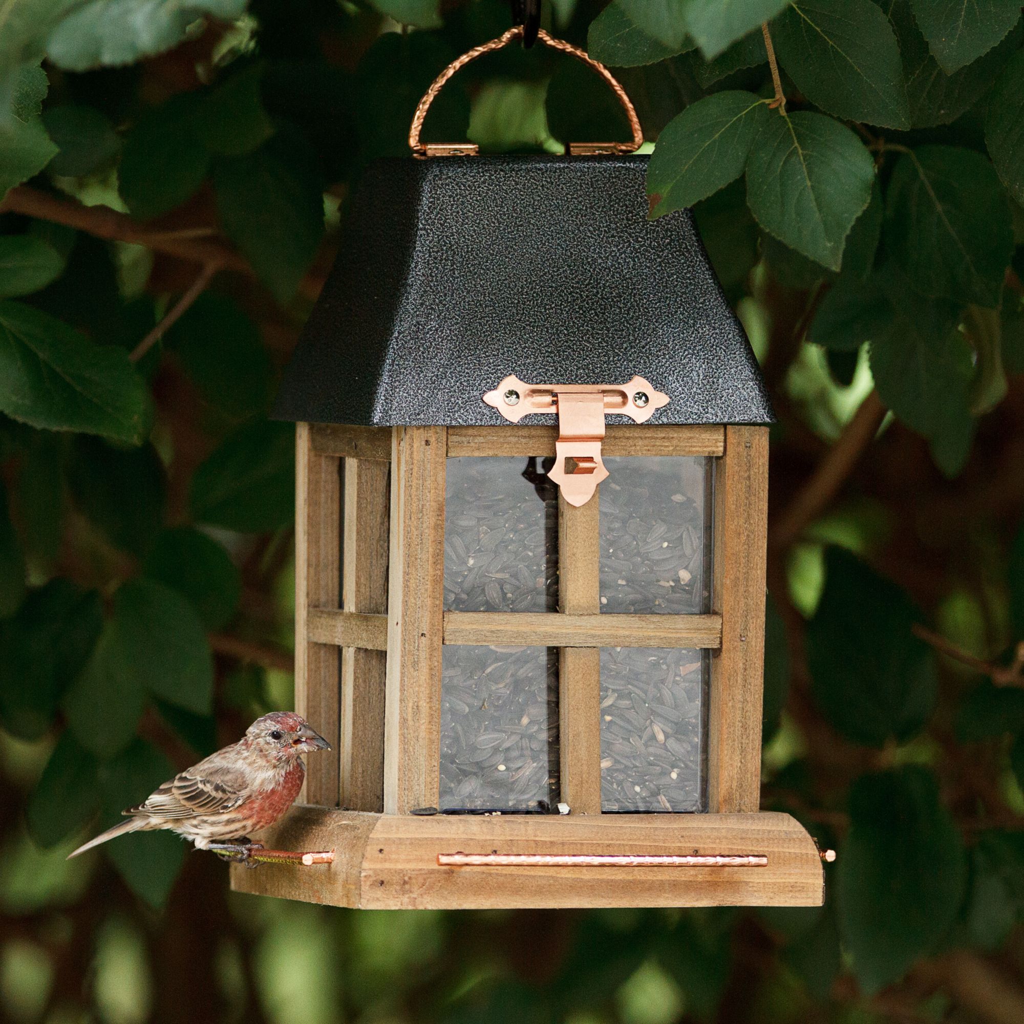 Perky Pet Paul Revere Bird Feeder