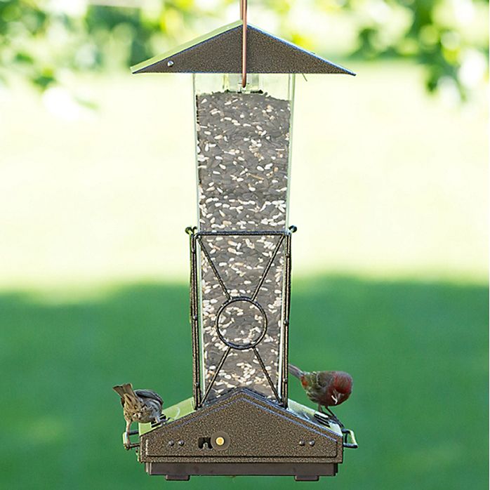 Perky Pet Fortress Squirrel Proof Bird Feeder
