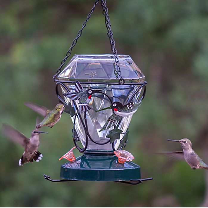 Perky Pet Hummingbird Edition Glass Hummingbird Feeder Model