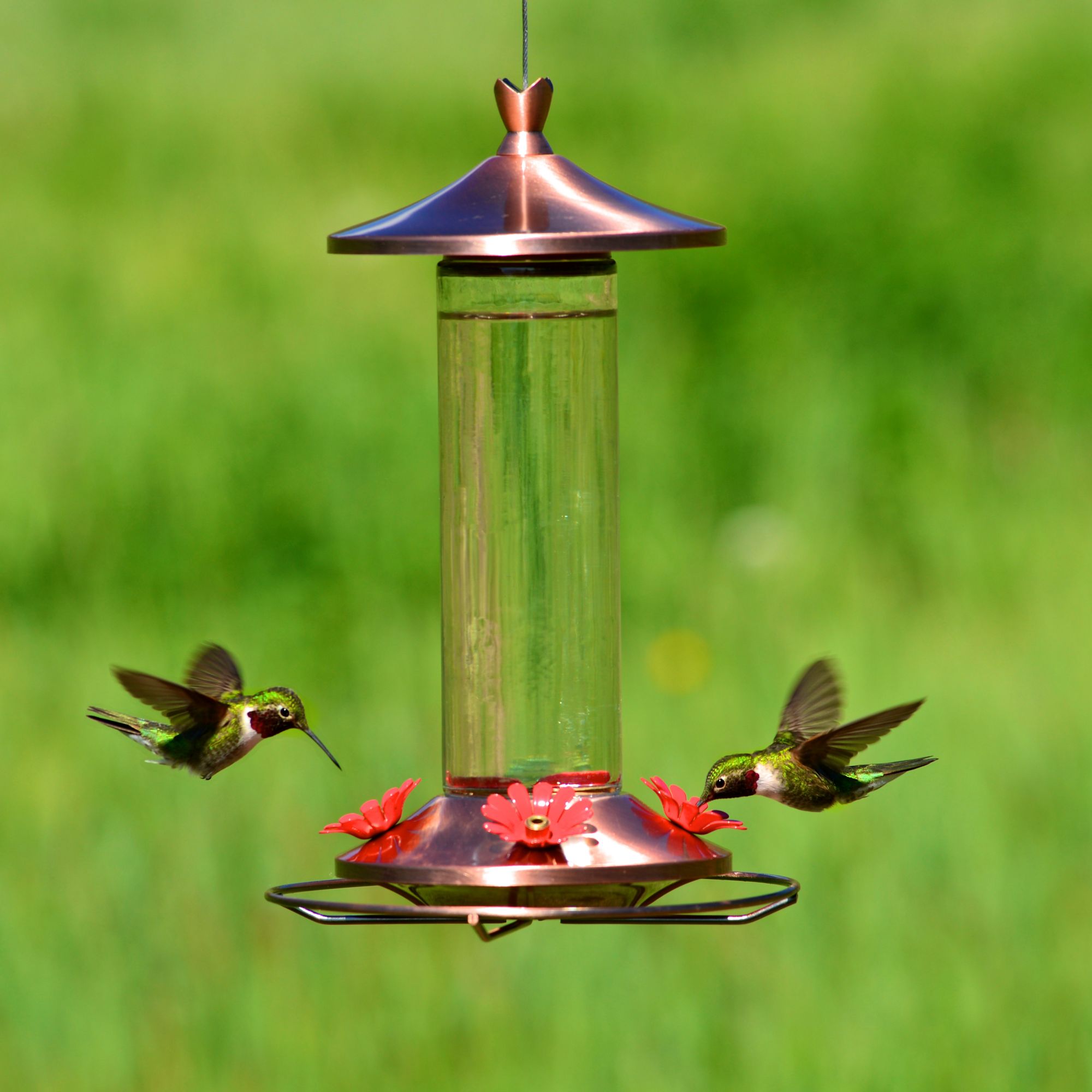 Perky Pet Elegant Copper Glass Hummingbird Feeder Model 710b