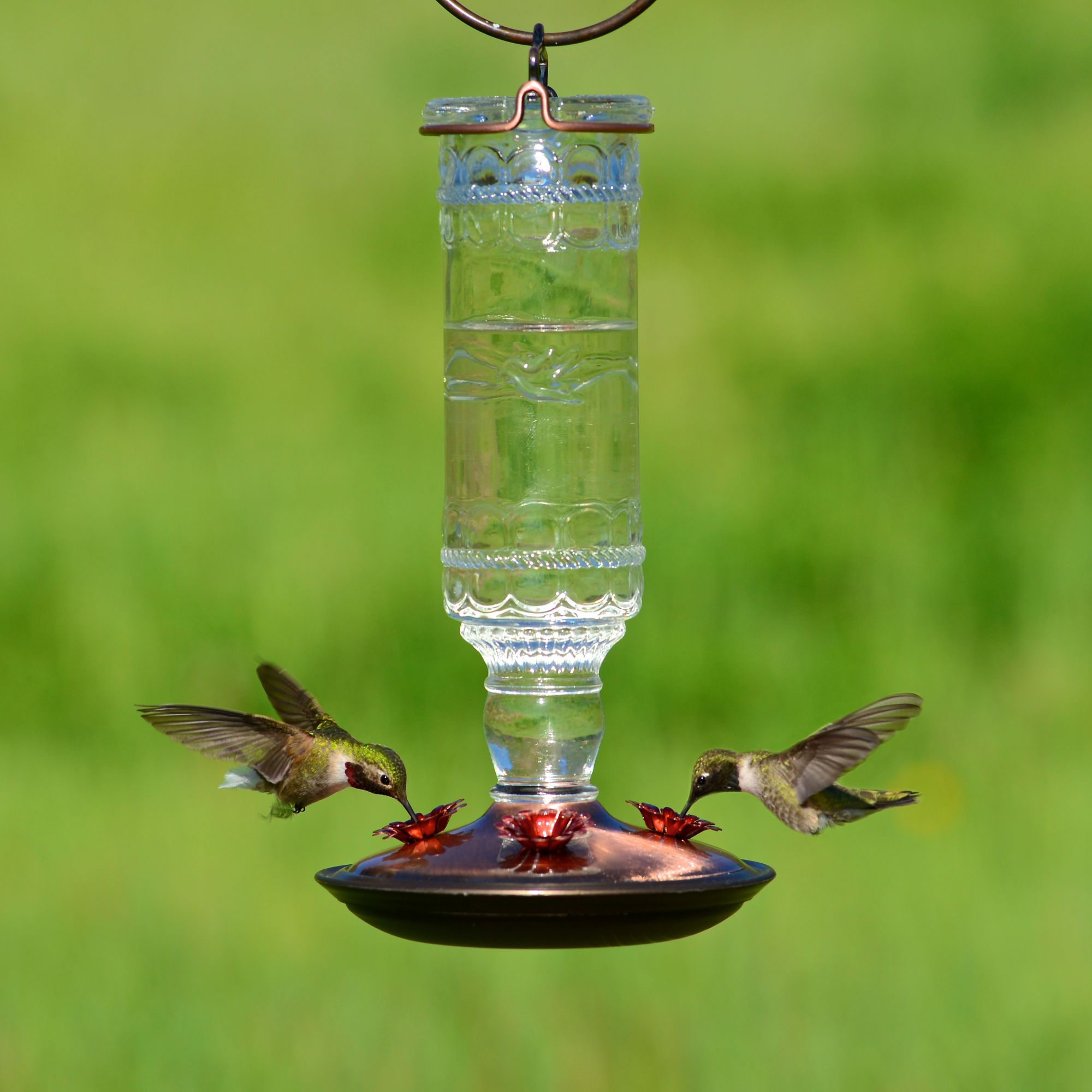Perky Pet Clear Antique Bottle Hummingbird Feeder