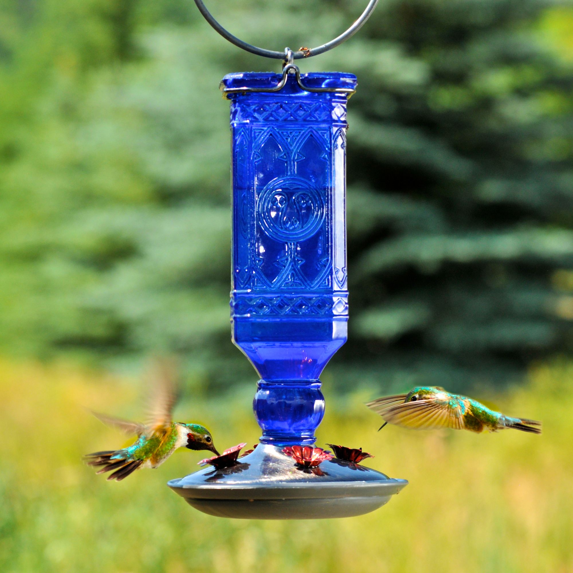 Perky Pet Cobalt Blue Antique Bottle Hummingbird Feeder