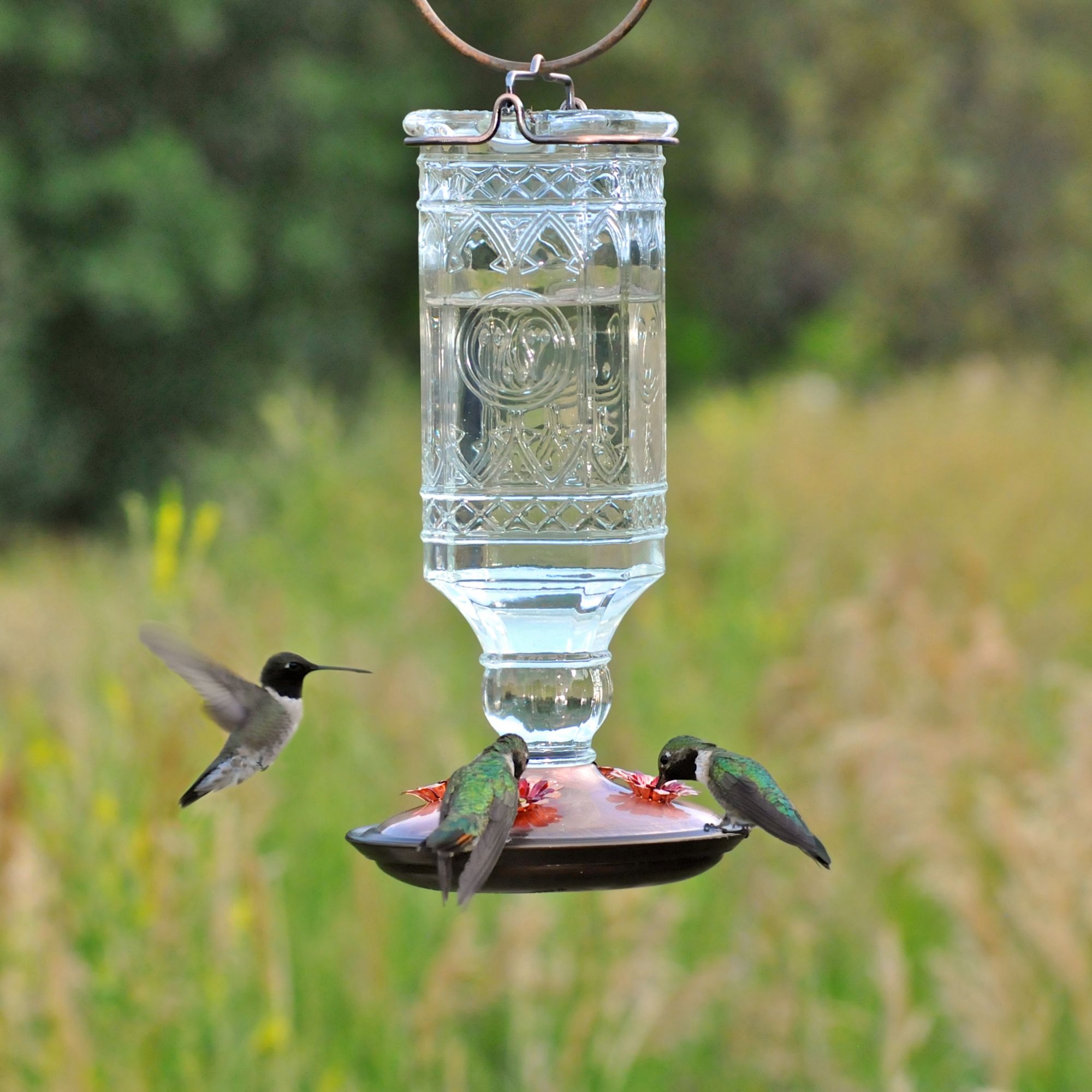 Perky Pet Clear Antique Bottle Hummingbird Feeder