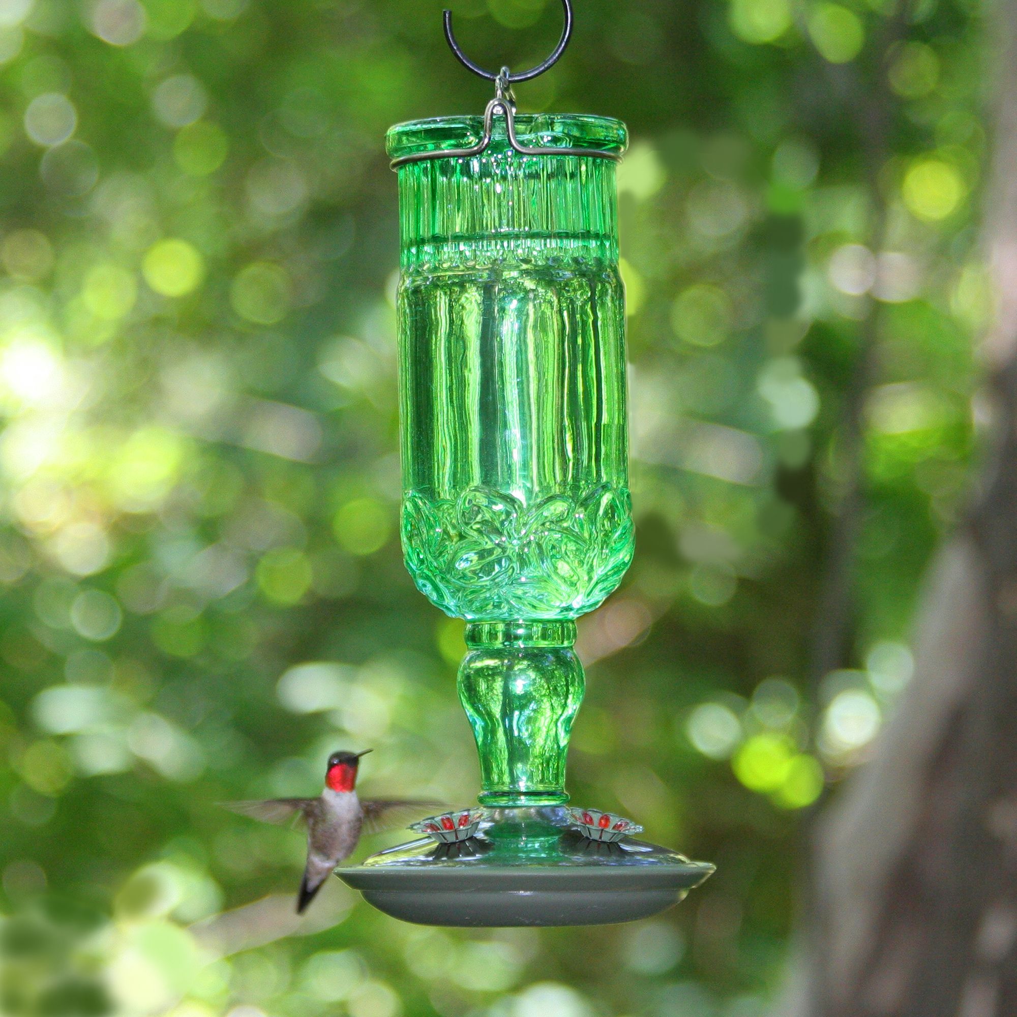 Perky Pet Green Antique Bottle Hummingbird Feeder