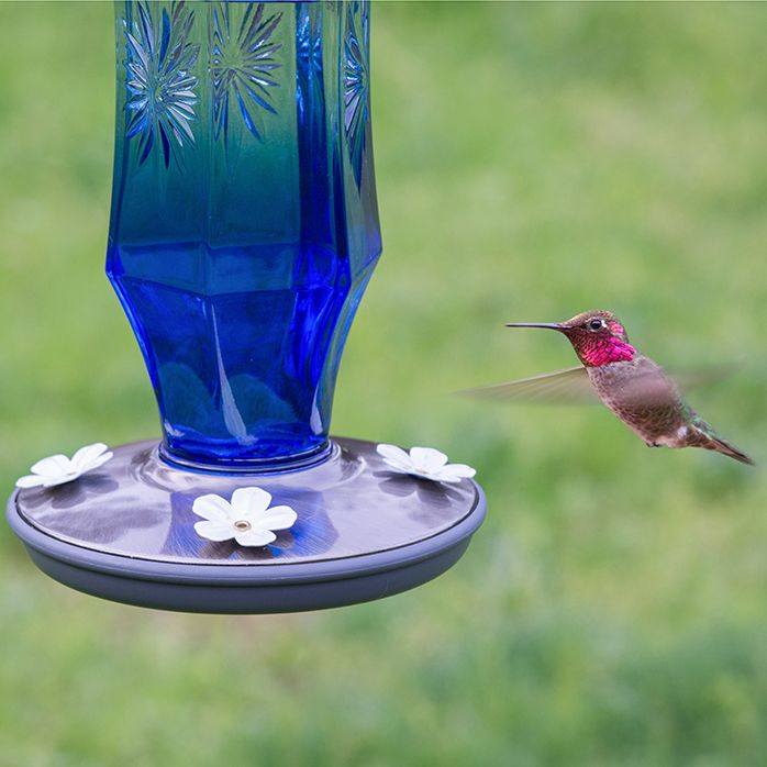 Perky Pet Sapphire Starburst Vintage Hummingbird Feeder 8129 2