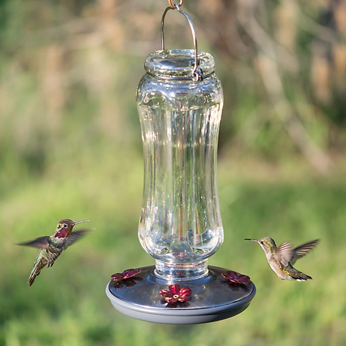 Perky Pet Starglow Vintage Hummingbird Feeder