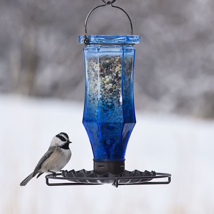 Perky Pet Sapphire Starburst Vintage Wild Bird Feeder 8138 2