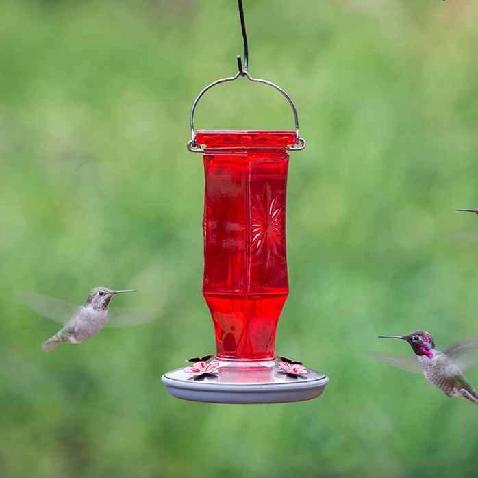 Perky Pet Ruby Starburst Vintage Hummingbird Feeder 8139 2