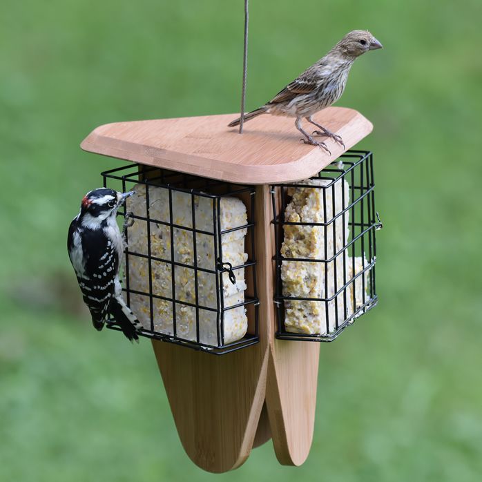 Wild Bird Feeders Bird Feeders Shop Woodstream Brands
