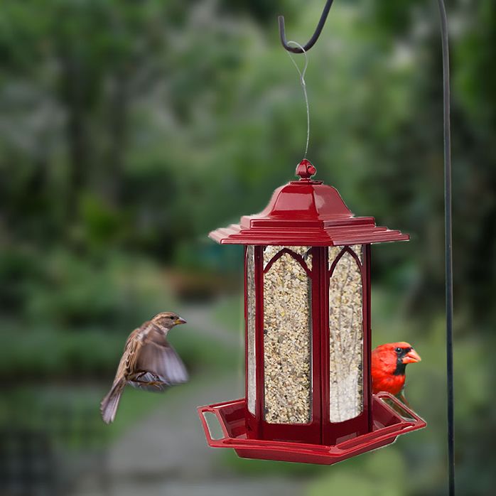 Wild Bird Feeders Bird Feeders Shop Woodstream Brands