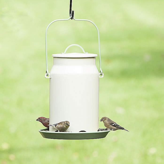 Perky Pet Milk Pail Feeder Mcf001 Www Woodstreambrands Ca