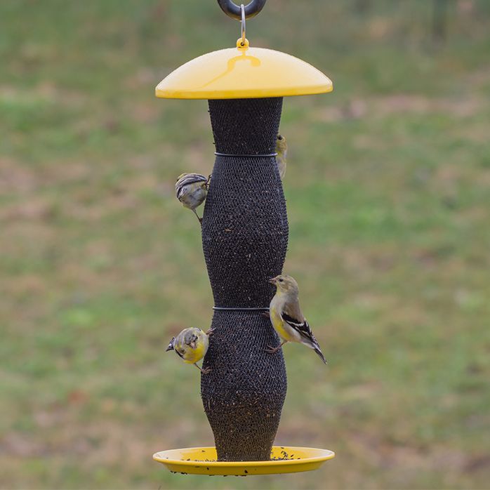 Perky Pet Yellow Finch Tube Wild Bird Feeder Model Yb5f00340