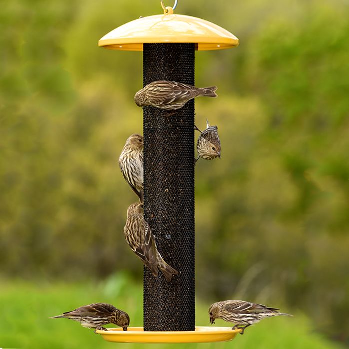 Perky Pet Yellow Straight Sided Finch Feeder Model