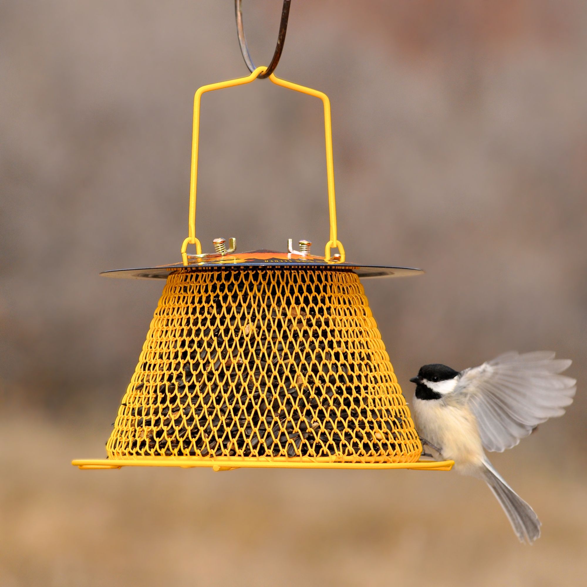 Perky-Pet® Designer Single Wild Bird Feeder
