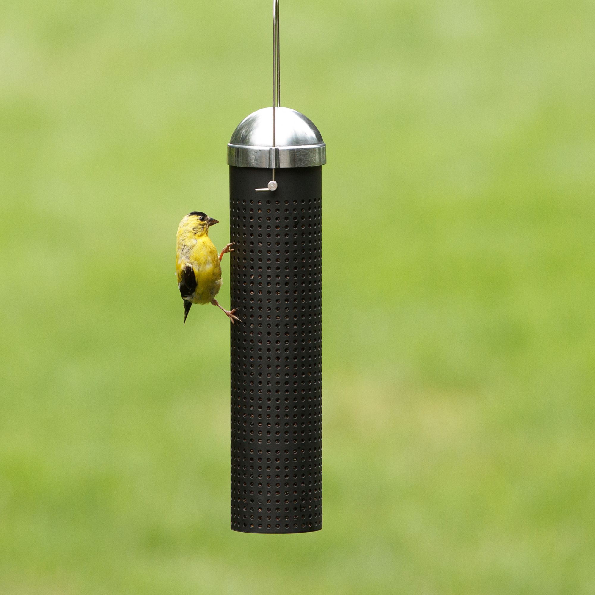 Perky Pet 10 Metal Finch Feeder