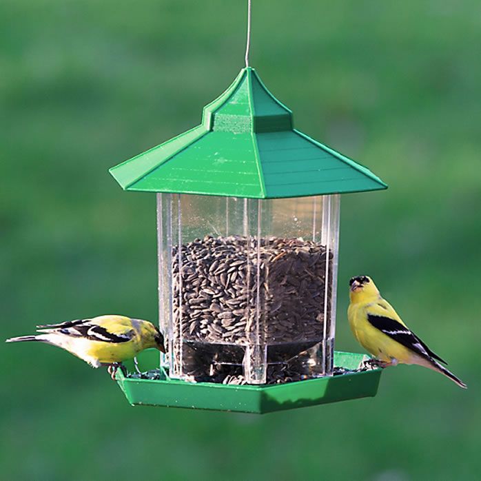 Perky Pet Gazebo Feeder Model Hf92 Perkypet Com