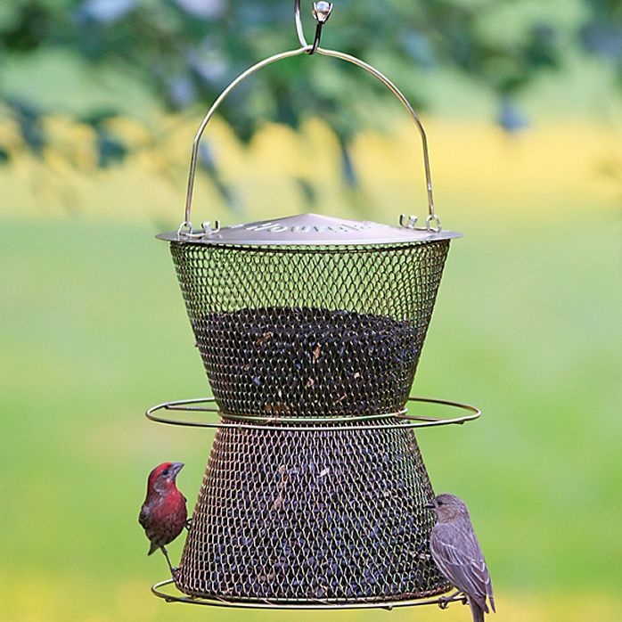 Perky Pet Hourglass Brass Wild Bird Feeder