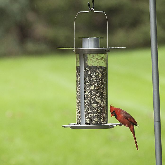 Perky Pet Solar Lantern Feeder Lts01 Www Woodstreambrands Ca