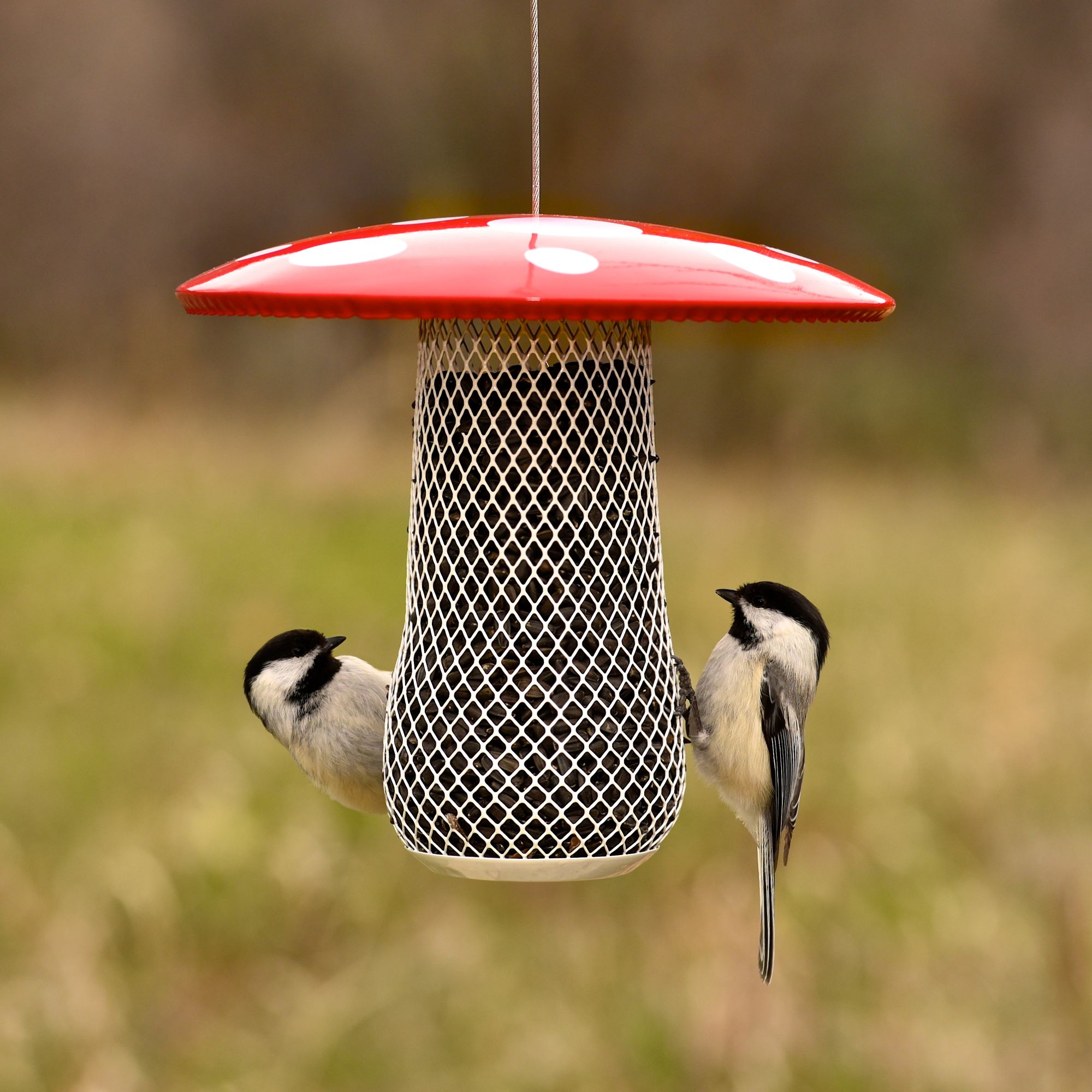 Perky Pet Mushroom Mesh Bird Feeder Model Msb00344 Perkypet Com