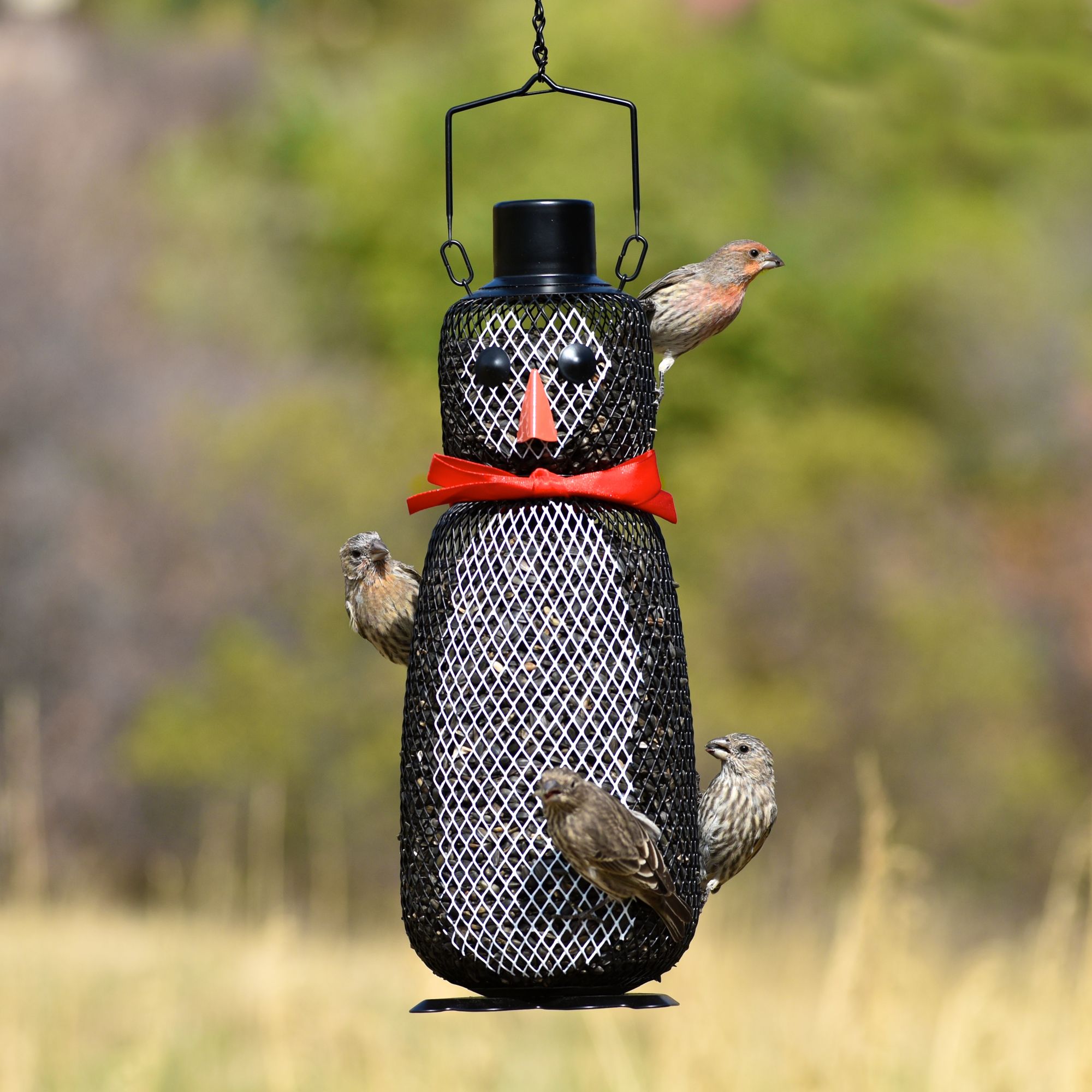 Perky Pet Penguin Wild Bird Feeder Model P00345 Perkypet Com